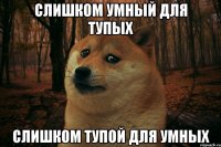 Слишком умный для тупых Слишком тупой для умных