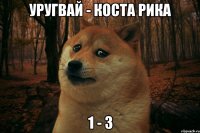 уругвай - коста рика 1 - 3