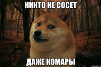 никто не сосет даже комары