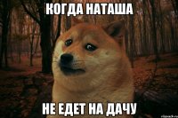 когда наташа не едет на дачу