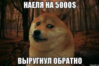 Наеля на 5000$ Выругнул обратно