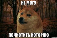 Не могу почистить историю