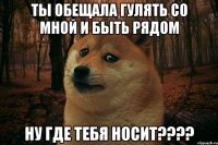 ты обещала гулять со мной и быть рядом ну где тебя носит????