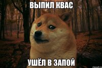 выпил квас ушёл в запой