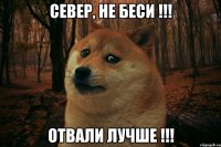 Север, не беси !!! Отвали лучше !!!