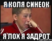 Я Коля Синеок Я ЛОх Я задрот