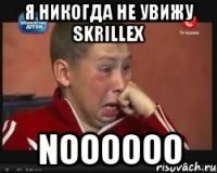 Я никогда не увижу Skrillex noooooo
