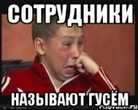 Сотрудники Называют гусём