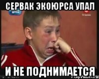 Сервак Экоюрса упал и не поднимается