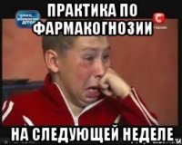 Практика по фармакогнозии На следующей неделе