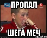 Пропал Шега меч