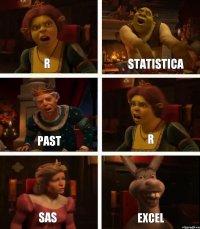 R PAST SAS STATISTICA R excel