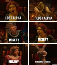 LOST ALPHA MISERY MISERY LOST ALPHA MISERY NARODNAJA SOLJANKA