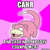 Саня а на скок на природку собираемся?