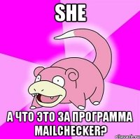 SHE А что это за программа MailChecker?