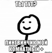 ты тут? пингвинчик мой комнатный +