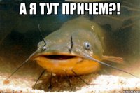 А я тут причем?! 