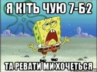 я кіть чую 7-б2 та ревати ми хочеться