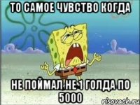 То самое чувство когда Не поймал не 1 голда по 5000