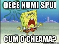 dece numi spui cum o cheama?