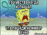 то чувство когда услышал что лошади не живут вечно