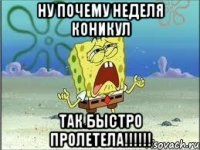 Ну почему неделя коникул так быстро пролетела!!!!!!