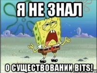 Я НЕ ЗНАЛ О СУЩЕСТВОВАНИИ BITS!