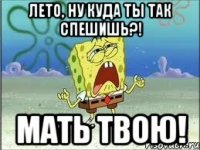 Лето, ну куда ты так спешишь?! Мать твою!