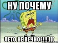 Ну почему ЛЕТО НЕ ВЕЧНОЕ!!!:(((