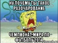 Ну почему ты такое разочарование Чемпионат Мира по футболу 2014