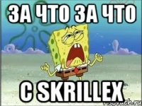 за что за что с Skrillex