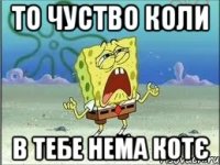 То чуство коли в тебе нема котє