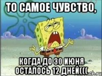 То самое чувство, когда до 30 июня осталось 12 дней(((