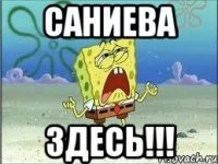 САНИЕВА ЗДЕСЬ!!!