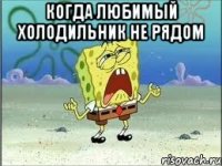 Когда любимый холодильник не рядом 