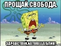 Прощай,свобода. Здравствуй,NATURELLA!Блин!