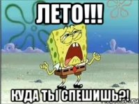 Лето!!! Куда ты спешишь?!