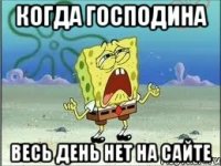 когда Господина весь день нет на сайте