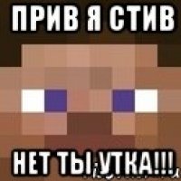 Прив я стив Нет ТЫ УТКА!!!