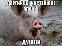 даргинцы чистейшие аланы ДУШОЙ