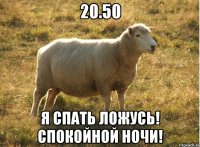 20.50 Я спать ложусь! Спокойной ночи!