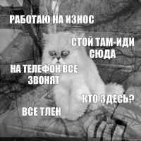 Работаю на износ Стой там-иди сюда На телефон все звонят Кто здесь? Все тлен