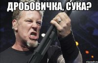 Дробовичка, сука? 