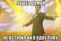 Пошел домой не вступил ни в одну лужу
