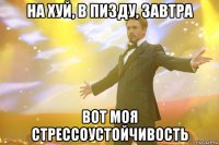 на хуй, в пизду, завтра вот моя стрессоустойчивость