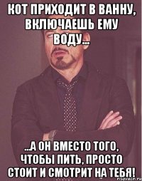 Кот приходит в ванну, включаешь ему воду... ...а он вместо того, чтобы пить, просто стоит и смотрит на тебя!