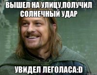 вышел на улицу,получил солнечный удар увидел Леголаса:D