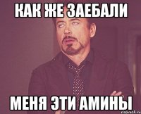 Как же заебали меня эти Амины