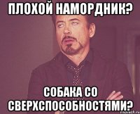 плохой намордник? собака со сверхспособностями?