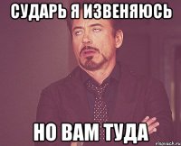 Сударь я извеняюсь Но вам туда